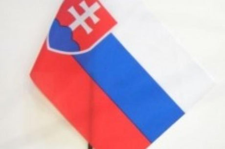 Steag auto cu mâner (30x45cm) 