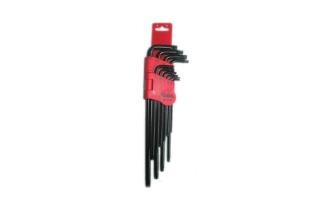 Set Torx 10 buc 